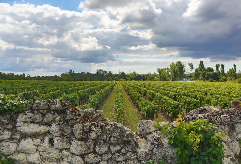 Château Haut-Coteau