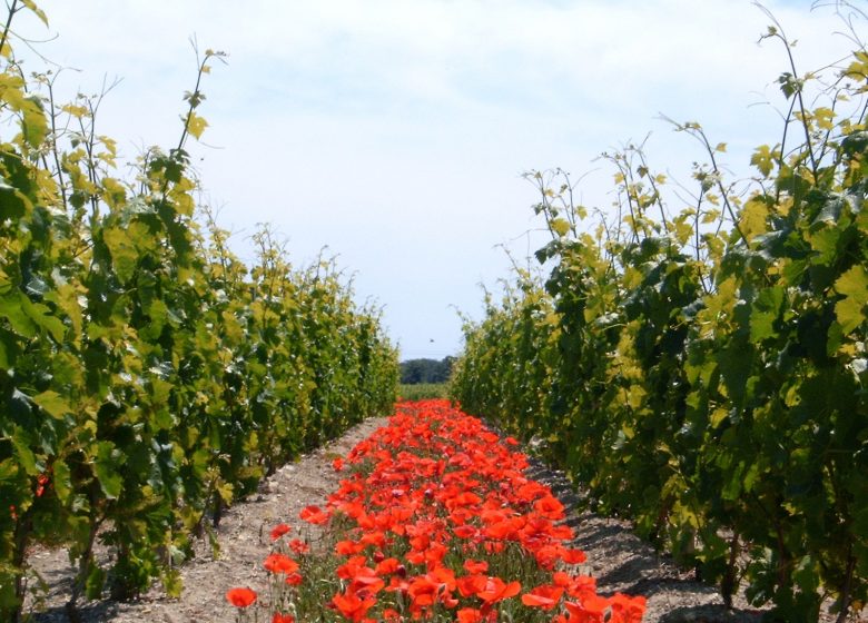 Château La Branne