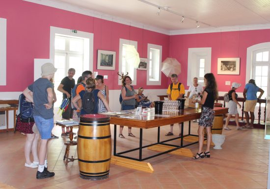 Traditionele picknick op Château Loudenne