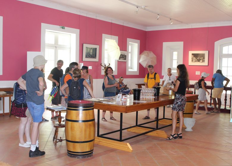 Traditional picnic at Château Loudenne