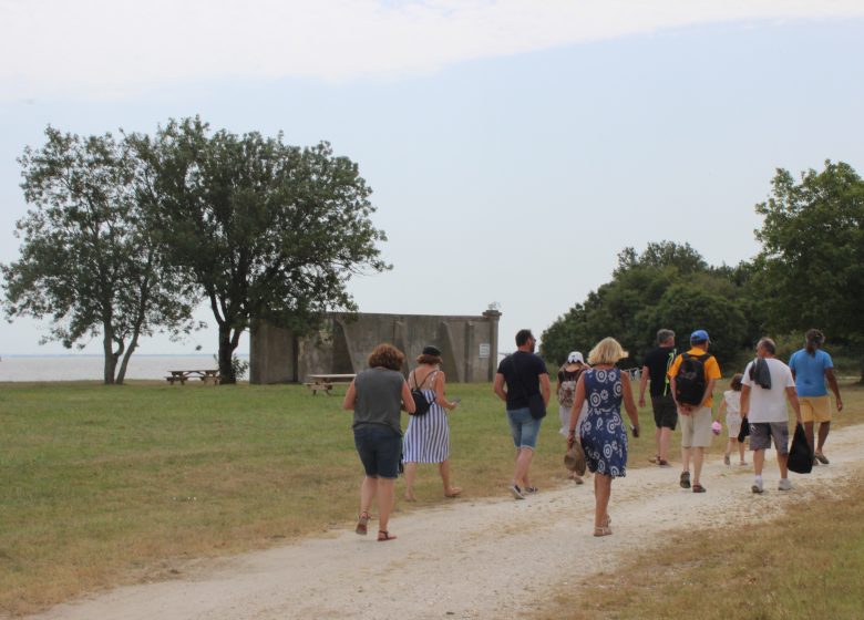 Traditional picnic at Château Loudenne