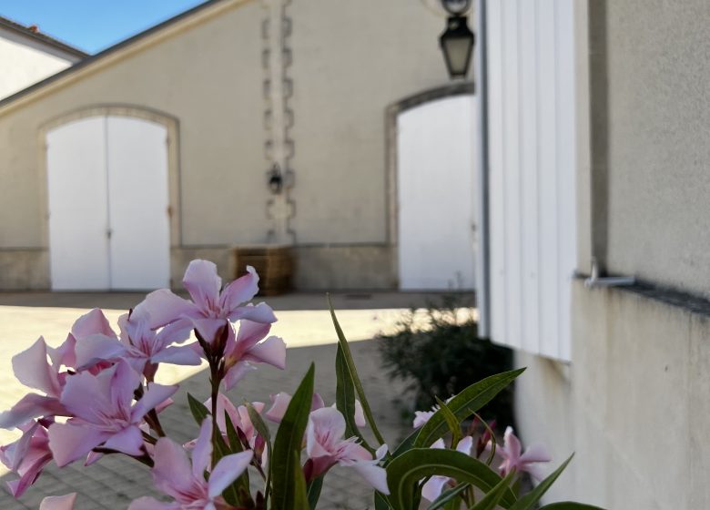 Château Ségur de Cabanac