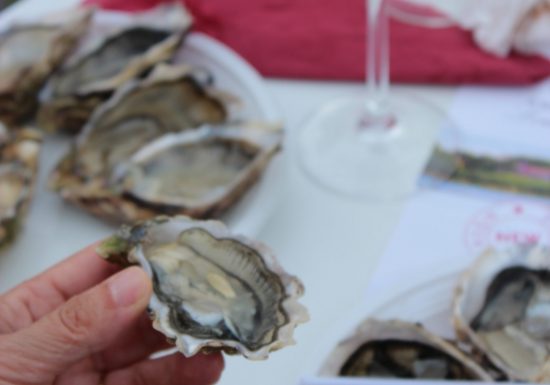 Music and Cook and Wine