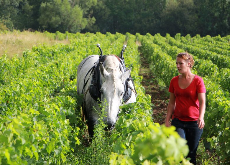 La Paroisse Cooperative Cellar