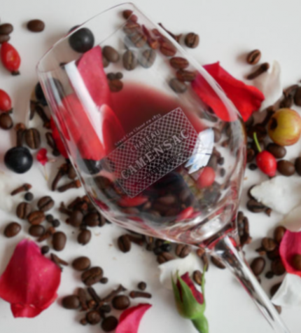 Les activités nouvelles sur le site