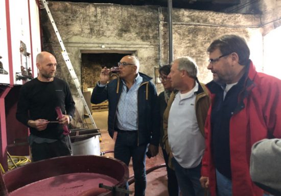 Wine tasting initiation workshop at Château Balac