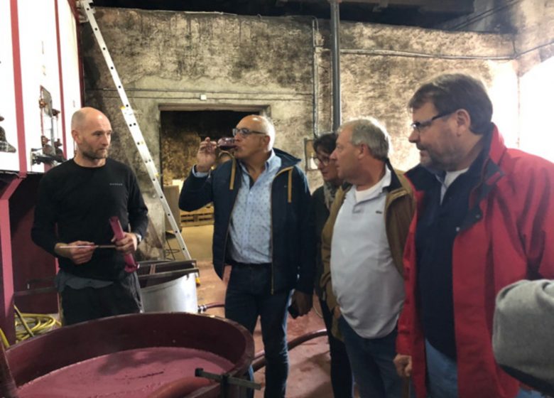 Einführungsworkshop zur Weinprobe im Château Balac