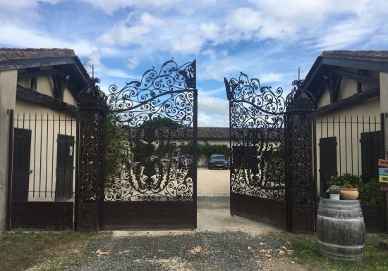 L'Ampélo oder Ampelographie im Château Hourtin-Ducasse