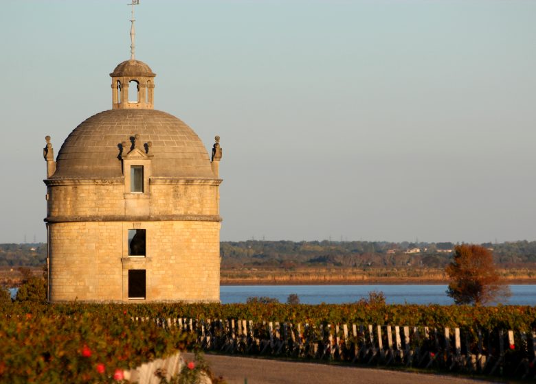 Chateau Latour