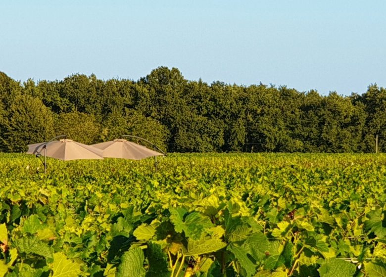 L’Apéro dans les Vignes au Château Hourtin-Ducasse