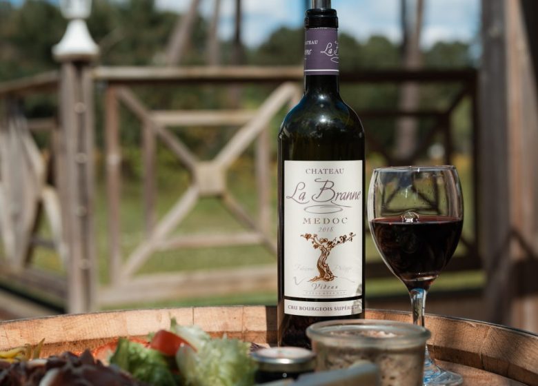 Soirée au vignoble