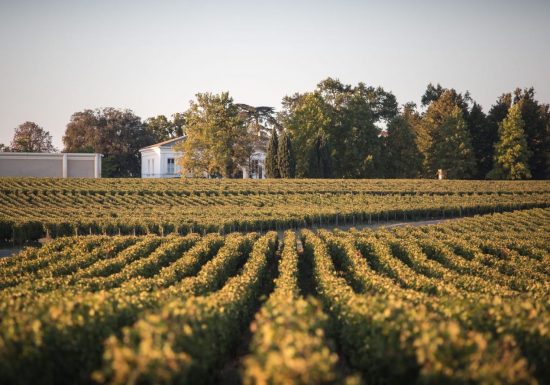 Château La Cardonne