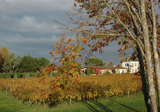 Le Moulin en Médoc