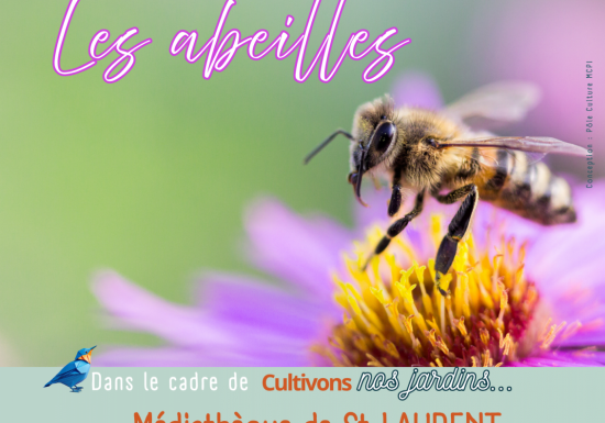 Le rôle des abeilles