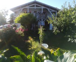 Les Arums de Fondeminjean