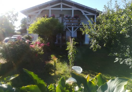 Les Arums de Fondeminjean