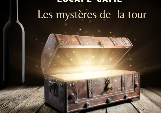 Escape Game Les Mystères de la Tour du Château Castera