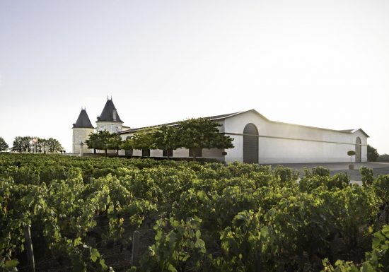 La Visite « Bon Vivant » au Château Lilian Ladouys