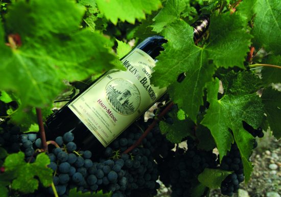 Château Moulin de Blanchon