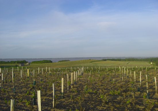 Château Moulin de Blanchon