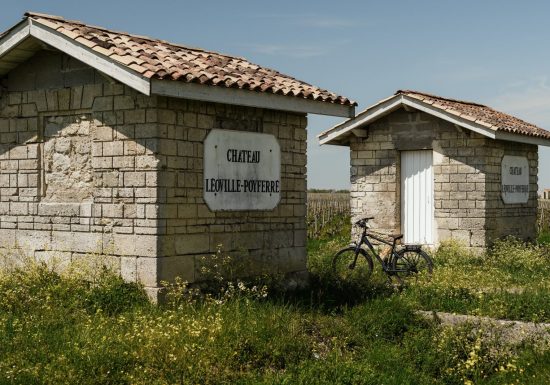 بالدراجة أمام جذور النبيذ الرائع في Château Léoville Poyferré