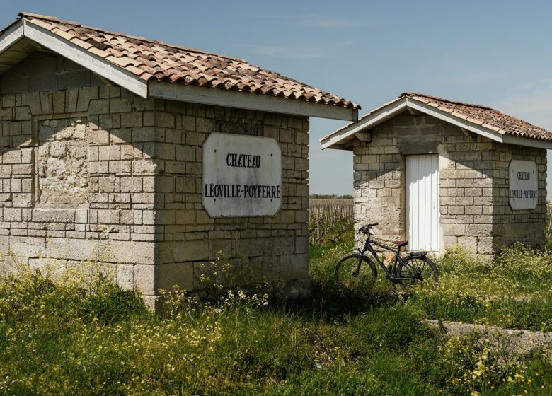 De bicicleta diante das raízes de um Grande Vinho no Château Léoville Poyferré