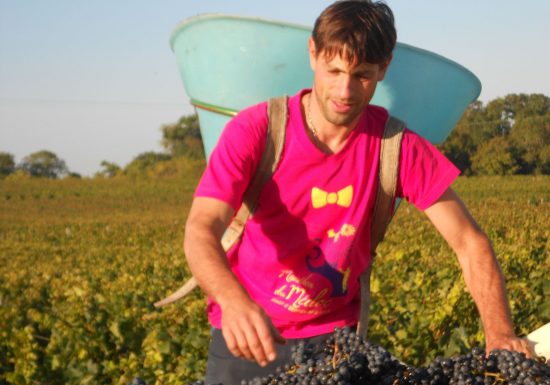 Château L’Or des Terres