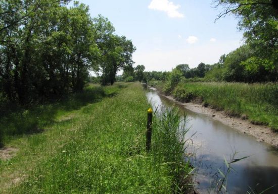 Marais de la Maréchale