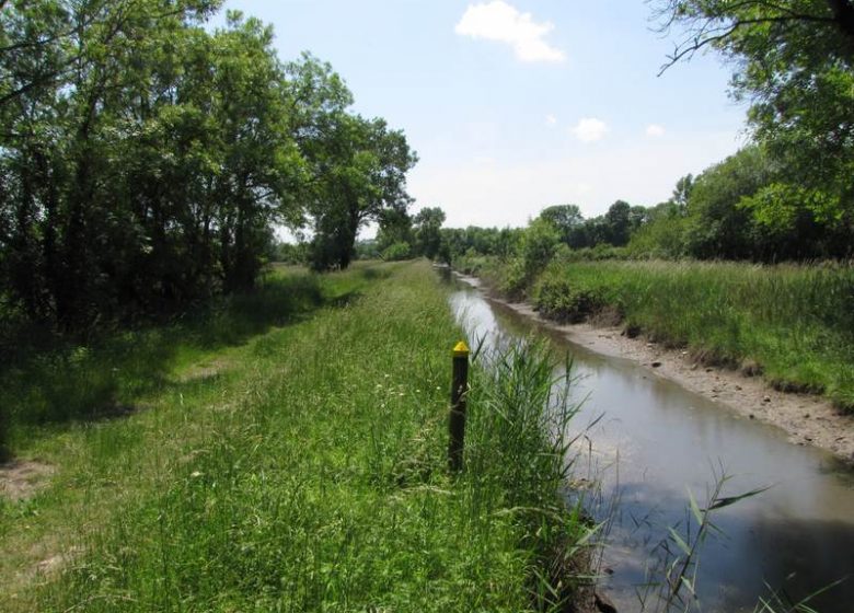 Marais de la Maréchale