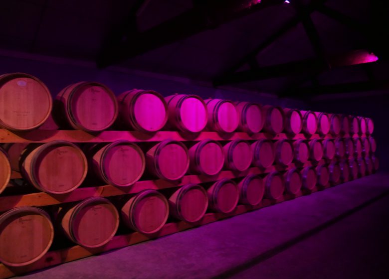 Cueva La Rose Pauillac