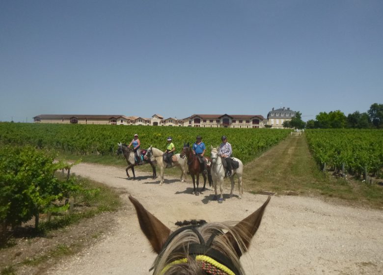 Caballo Loop Saint-Laurent West