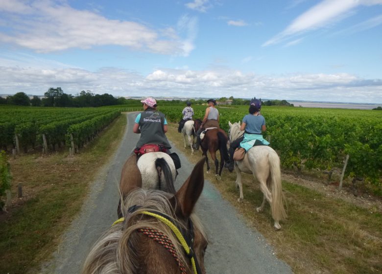 Кольцо Saint-Laurent Sud Horse Loop