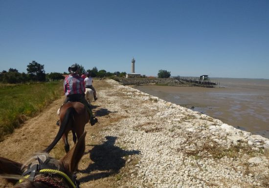 Boucle à cheval de Saint-Seurin-de-Cadourne