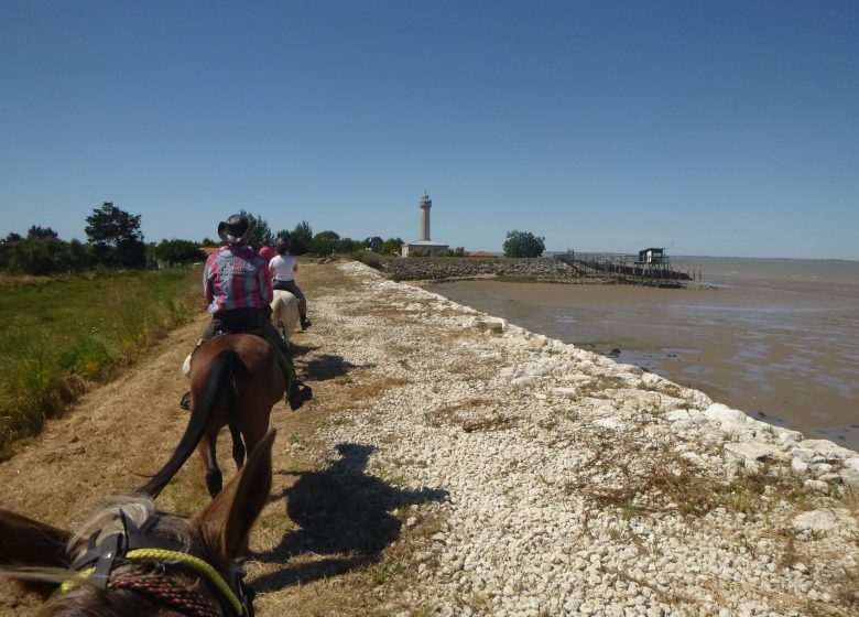 حلقة ظهور الخيل Saint-Seurin-de-Cadourne