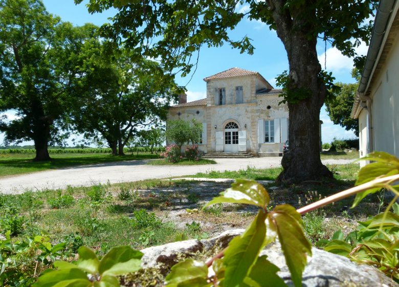 Castillo de caché