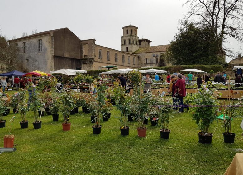 Foire aux plantes « La Passiflore » : les plantes font leur cinéma