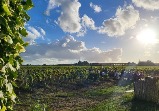 Picknick im Garten des Château Hourtin-Ducasse