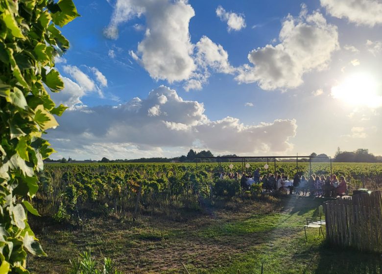 Picnic in the garden at Château Hourtin-Ducasse