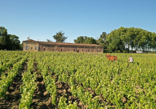Château Picourneau-Malvezin