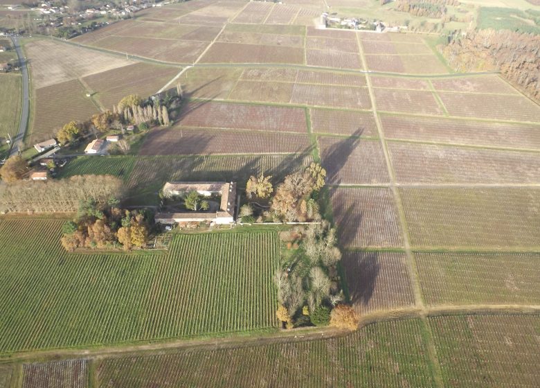 Château Picourneau-Malvezin