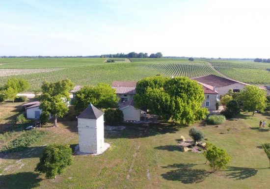 Château Pierre de Montignac