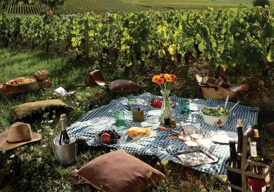 Picknick beim unabhängigen Winzer im Château Hourtin-Ducasse