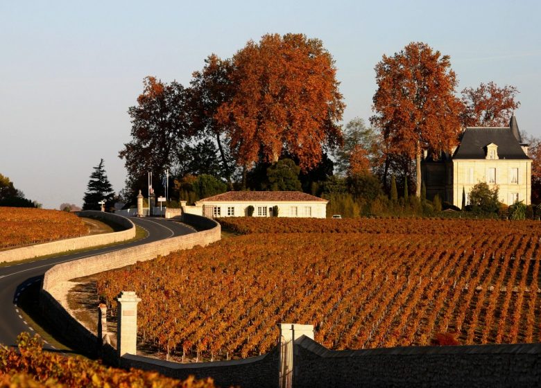 "Architecture of the Medoc castles" tour