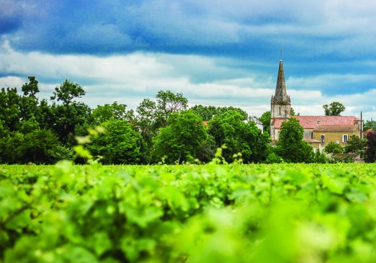 Boucle des Marais de Saint-Seurin-de-Cadourne