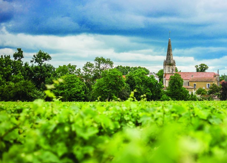 Rundweg durch die Sümpfe von Saint-Seurin-de-Cadourne