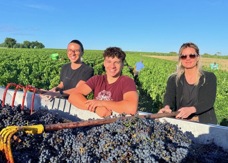 Château Ségur de Cabanac