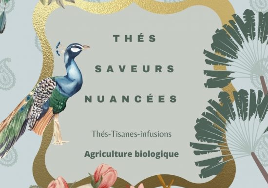 Dégustation de thés à Pauillac