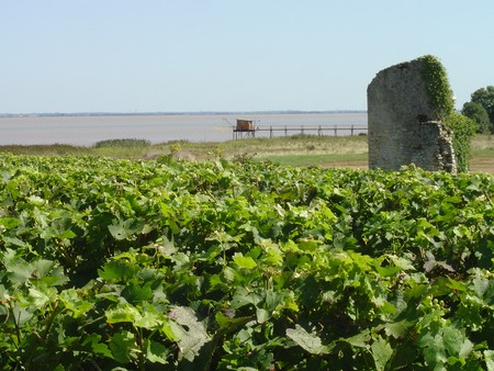 Zona del castello Tour Castillon