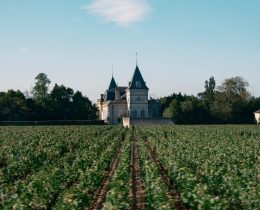 Château Tronquoy