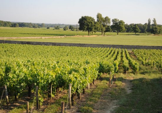 Kasteel van het Kruis